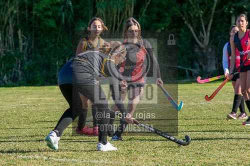 Fotografía H-6-1 de (03) 2026-05-10 Nerwbery 12 de Octubre