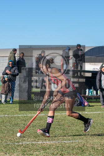 Fotografía H-62 de (03) 2026-05-10 Nerwbery 12 de Octubre