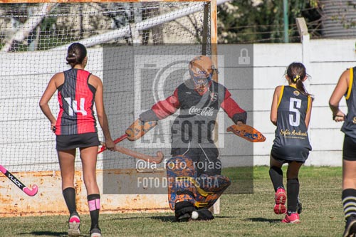 Fotografía H-63 de (03) 2026-05-10 Nerwbery 12 de Octubre