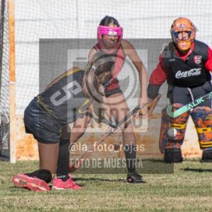Fotografía H-65 de (03) 2026-05-10 Nerwbery 12 de Octubre