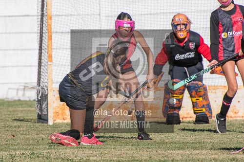 Fotografía H-65 de (03) 2026-05-10 Nerwbery 12 de Octubre
