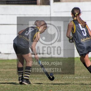 Fotografía H-66 de (03) 2026-05-10 Nerwbery 12 de Octubre
