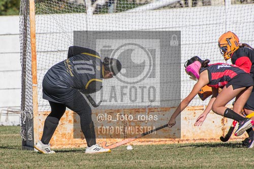 Fotografía H-67 de (03) 2026-05-10 Nerwbery 12 de Octubre