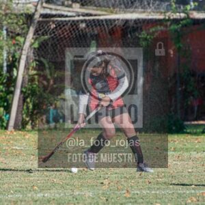 Fotografía H-69 de (03) 2026-05-10 Nerwbery 12 de Octubre