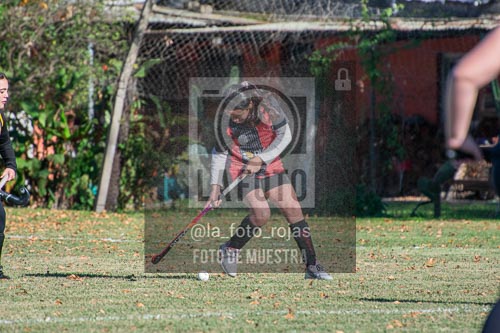Fotografía H-69 de (03) 2026-05-10 Nerwbery 12 de Octubre