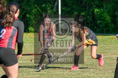 Fotografía H-7-1 de (03) 2026-05-10 Nerwbery 12 de Octubre