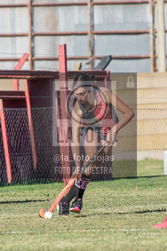 Fotografía H-70 de (03) 2026-05-10 Nerwbery 12 de Octubre