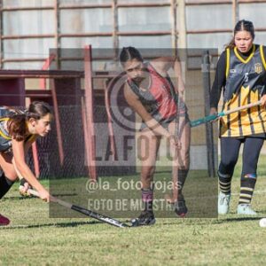 Fotografía H-71 de (03) 2026-05-10 Nerwbery 12 de Octubre