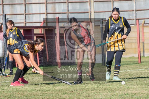 Fotografía H-71 de (03) 2026-05-10 Nerwbery 12 de Octubre