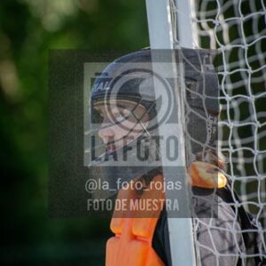 Fotografía H-74 de (03) 2026-05-10 Nerwbery 12 de Octubre