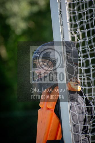 Fotografía H-74 de (03) 2026-05-10 Nerwbery 12 de Octubre