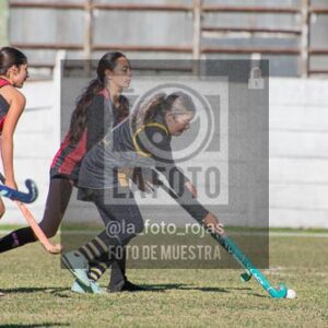 Fotografía H-75 de (03) 2026-05-10 Nerwbery 12 de Octubre