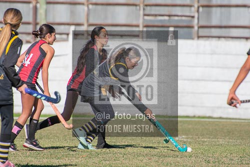 Fotografía H-75 de (03) 2026-05-10 Nerwbery 12 de Octubre