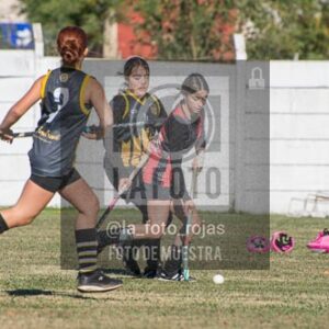 Fotografía H-76 de (03) 2026-05-10 Nerwbery 12 de Octubre
