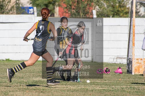 Fotografía H-76 de (03) 2026-05-10 Nerwbery 12 de Octubre