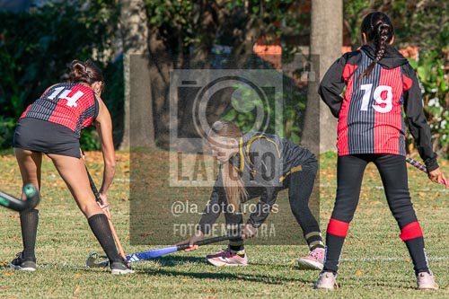 Fotografía H-8-1 de (03) 2026-05-10 Nerwbery 12 de Octubre