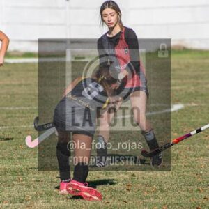 Fotografía H-80 de (03) 2026-05-10 Nerwbery 12 de Octubre