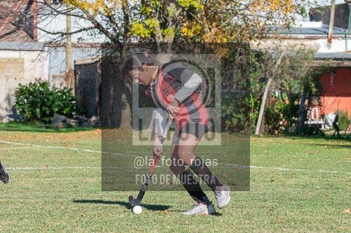 Fotografía H-81 de (03) 2026-05-10 Nerwbery 12 de Octubre