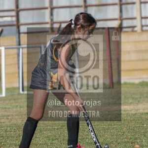 Fotografía H-82 de (03) 2026-05-10 Nerwbery 12 de Octubre