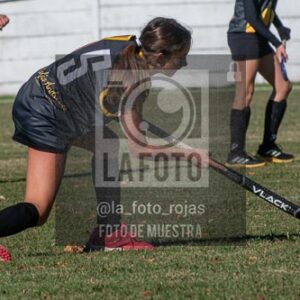 Fotografía H-83 de (03) 2026-05-10 Nerwbery 12 de Octubre