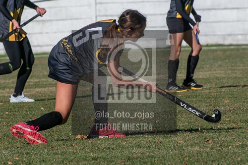 Fotografía H-83 de (03) 2026-05-10 Nerwbery 12 de Octubre