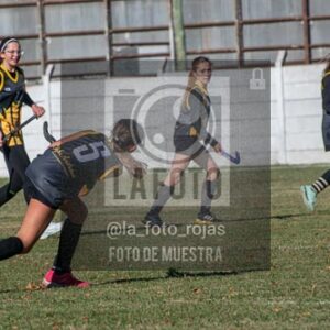 Fotografía H-84 de (03) 2026-05-10 Nerwbery 12 de Octubre