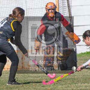 Fotografía H-85 de (03) 2026-05-10 Nerwbery 12 de Octubre
