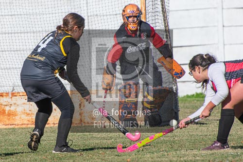 Fotografía H-85 de (03) 2026-05-10 Nerwbery 12 de Octubre