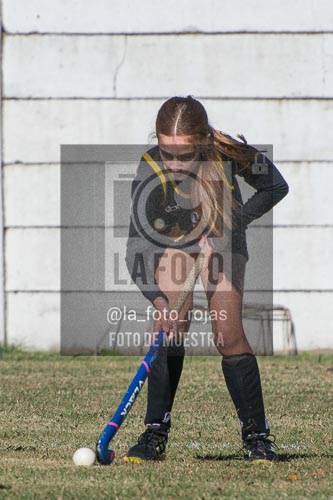 Fotografía H-86 de (03) 2026-05-10 Nerwbery 12 de Octubre
