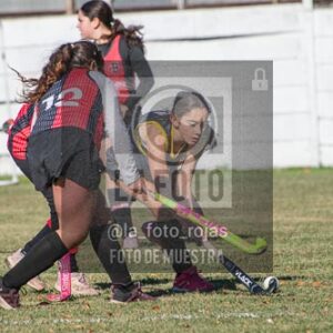 Fotografía H-88 de (03) 2026-05-10 Nerwbery 12 de Octubre