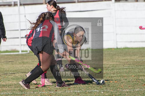 Fotografía H-88 de (03) 2026-05-10 Nerwbery 12 de Octubre