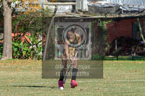 Fotografía H-9-1 de (03) 2026-05-10 Nerwbery 12 de Octubre
