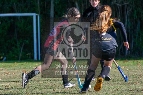 Fotografía H-90 de (03) 2026-05-10 Nerwbery 12 de Octubre