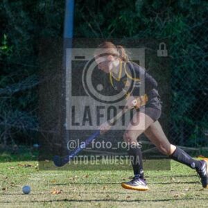 Fotografía H-91 de (03) 2026-05-10 Nerwbery 12 de Octubre