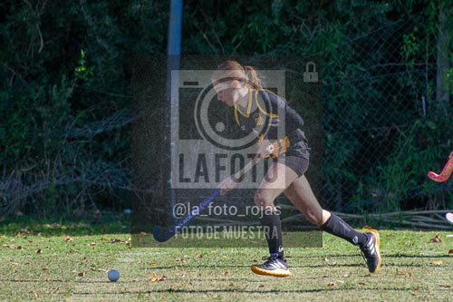 Fotografía H-91 de (03) 2026-05-10 Nerwbery 12 de Octubre