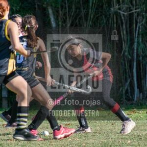 Fotografía H-92 de (03) 2026-05-10 Nerwbery 12 de Octubre
