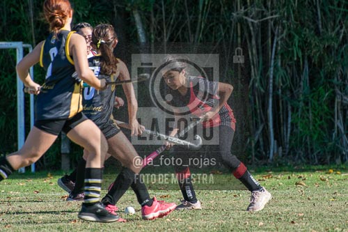Fotografía H-92 de (03) 2026-05-10 Nerwbery 12 de Octubre