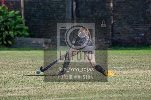 Fotografía H-93 de (03) 2026-05-10 Nerwbery 12 de Octubre