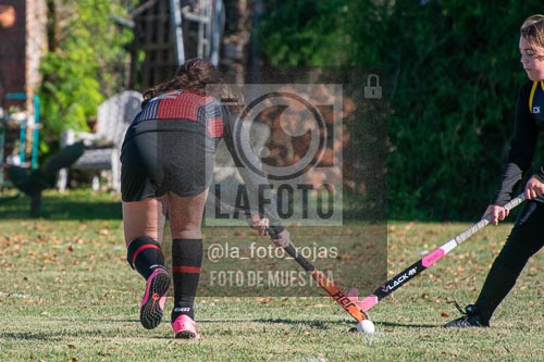 Fotografía H-94 de (03) 2026-05-10 Nerwbery 12 de Octubre