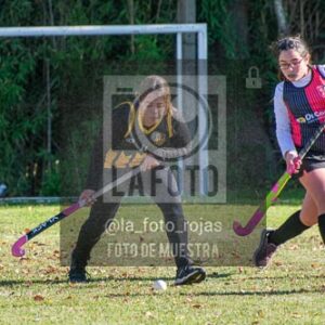 Fotografía H-95 de (03) 2026-05-10 Nerwbery 12 de Octubre