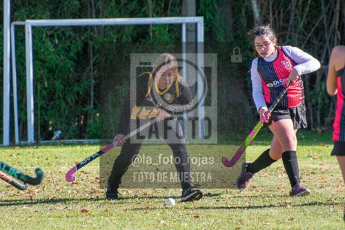 Fotografía H-95 de (03) 2026-05-10 Nerwbery 12 de Octubre