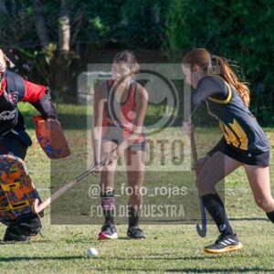 Fotografía H-96 de (03) 2026-05-10 Nerwbery 12 de Octubre