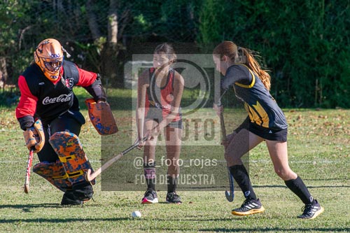 Fotografía H-96 de (03) 2026-05-10 Nerwbery 12 de Octubre