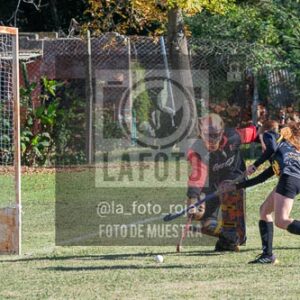 Fotografía H-97 de (03) 2026-05-10 Nerwbery 12 de Octubre