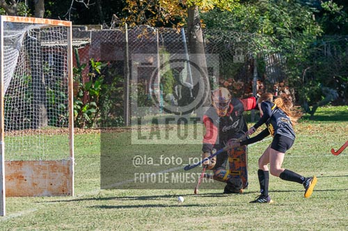 Fotografía H-97 de (03) 2026-05-10 Nerwbery 12 de Octubre