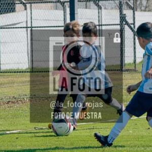 Fotografía NA-110 de (035) 2026-05-30 Newbery Argentino Inic