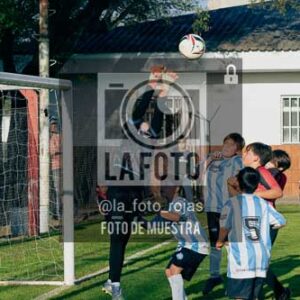 Fotografía NA-15 de (035) 2026-05-30 Newbery Argentino 2017
