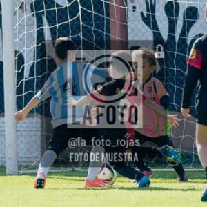 Fotografía NA-24-1 de (035) 2026-05-30 Newbery Argentino 2019
