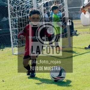 Fotografía NA-28-2 de (035) 2026-05-30 Newbery Argentino Inic