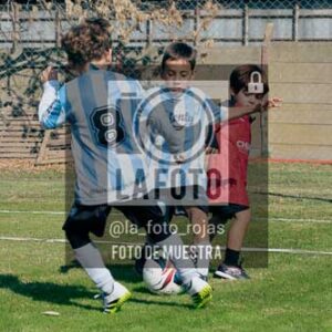 Fotografía NA-30-2 de (035) 2026-05-30 Newbery Argentino Inic
